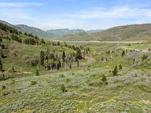 Mountain view