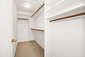 Spacious closet featuring light carpet