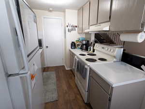 Kitchen with white appliances, under cabinet range hood, dark wood-type flooring, light countertops, and gray cabinetry