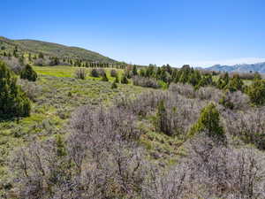 View of mountain backdrop
