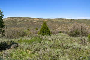 View of nature with a mountainous background