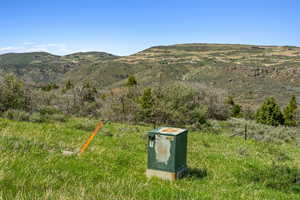 View of mountain background