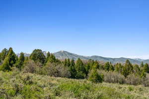 View of mountain backdrop