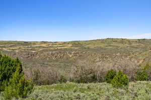 View of local wilderness