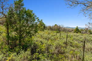 View of nature with a mountain backdrop