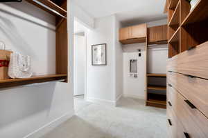 Spacious closet featuring light carpet