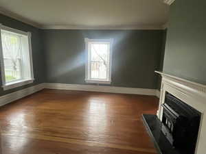 Large living room featuring a fireplace, hardwood / wood-style floors, plenty of natural light, ornamental molding, and baseboards