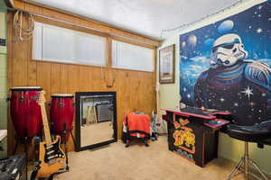 Game room with carpet floors, wooden walls, and healthy amount of natural light