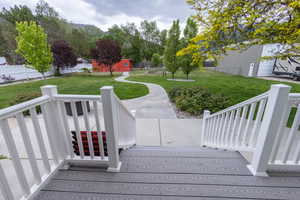 Trex decking