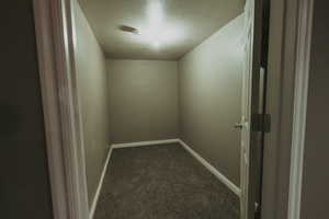 Walk in closet with dark colored carpet