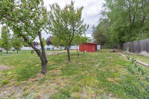 View of yard with a storage shed and an outbuilding