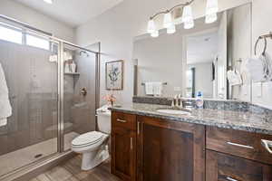 Bathroom with toilet, a shower stall, and vanity