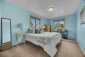Bedroom featuring carpet, multiple windows, and baseboards
