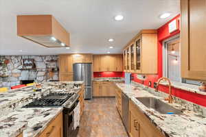 Kitchen featuring appliances with stainless steel finishes, a sink, light stone countertops, glass insert cabinets, and light brown cabinetry