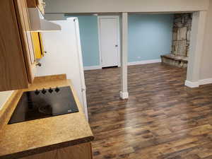 Basement kitchen/living room area
