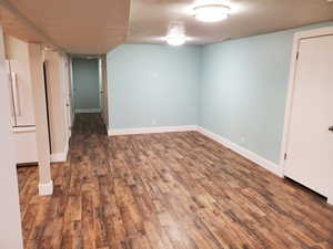 Basement living room