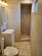 Basement master bathroom