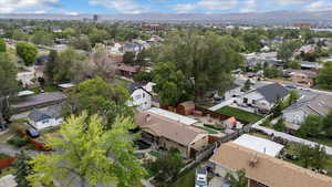 Aerial perspective