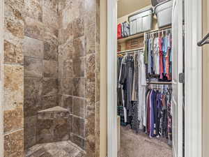 Master bathroom shower and closet