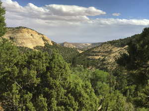 Views and hiking/ horse trails