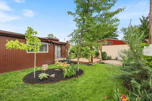 View of yard featuring a deck and an outdoor structure