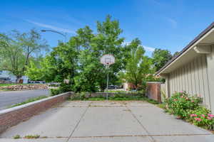 Built-in basketball standard