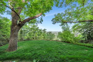 Beautiful wooded lot with mature trees