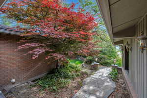 Trees provide privacy and shade