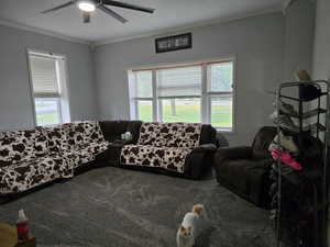 Living area featuring carpet flooring, ceiling fan, plenty of natural light, and crown molding