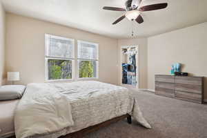Carpeted bedroom featuring a walk in closet, ceiling fan, baseboards, and a closet