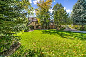 View of grassy yard