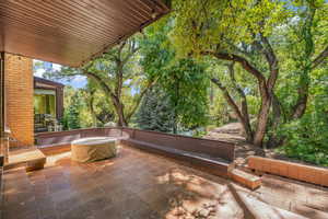 View of patio