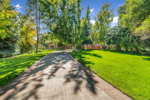 View of grassy yard with concrete driveway