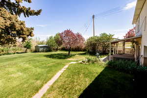 View of back yard with an outdoor structure, a shed, and a patio area