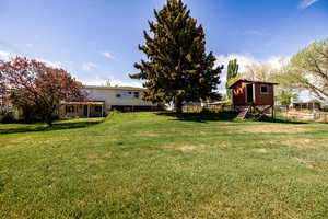 View of yard, clubhouse, and home