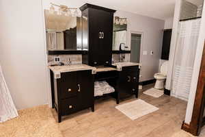 Bathroom with vanity, wood finished floors, and toilet