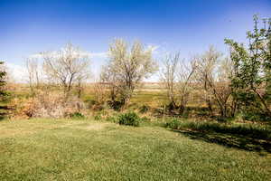 View of green lawn with a rural view
