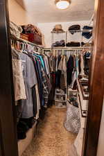 Spacious closet featuring carpet flooring