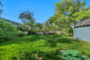 View of grassy yard