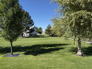 View of home's community featuring a yard
