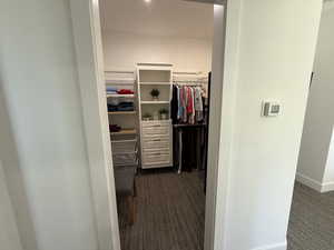 Spacious closet with dark colored carpet