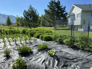 View of community with a mountain view and a lawn