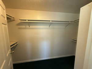 View of spacious closet