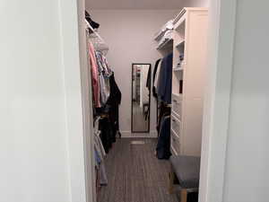 Spacious closet with dark carpet
