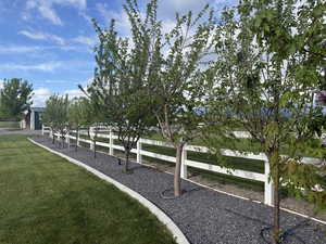 View of community with a yard