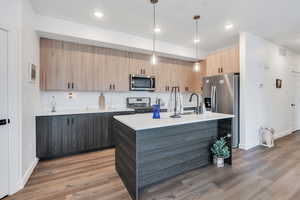 Kitchen with appliances with stainless steel finishes, light brown cabinetry, light wood-style flooring, light countertops, and recessed lighting