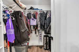 Walk in closet with wood finished floors