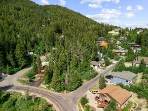 Aerial perspective of suburban area featuring a forest
