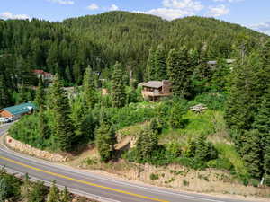 View of mountain backdrop featuring a heavily wooded area