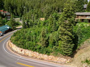 Drone / aerial view of a heavily wooded area